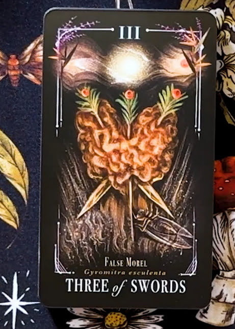 Midnight Magic: A Tarot Deck of Mushrooms